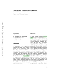 Blockchain Transaction Processing