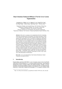 Dual-Attention Enhanced BDense-UNet for Liver Lesion Segmentation