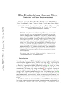 B-line Detection in Lung Ultrasound Videos: Cartesian vs Polar
  Representation