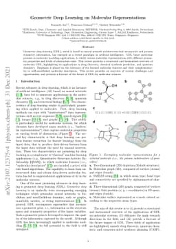 Geometric Deep Learning on Molecular Representations