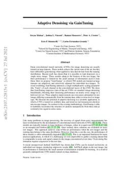 Adaptive Denoising via GainTuning