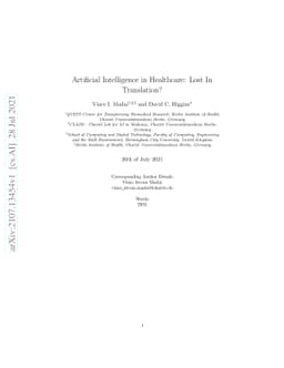 Artificial Intelligence in Healthcare: Lost In Translation?