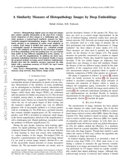 A Similarity Measure of Histopathology Images by Deep Embeddings