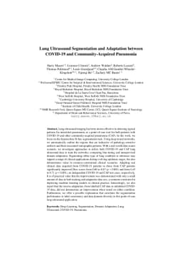 Lung Ultrasound Segmentation and Adaptation between COVID-19 and
  Community-Acquired Pneumonia