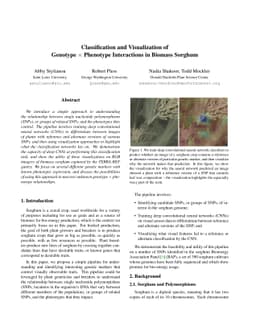 Classification and Visualization of Genotype x Phenotype Interactions in
  Biomass Sorghum