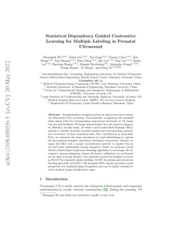 Statistical Dependency Guided Contrastive Learning for Multiple Labeling
  in Prenatal Ultrasound