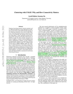 Clustering with UMAP: Why and How Connectivity Matters