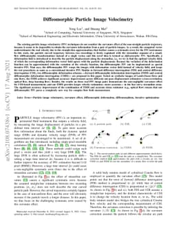 Diffeomorphic Particle Image Velocimetry