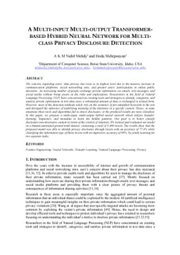 A Multi-input Multi-output Transformer-based Hybrid Neural Network for
  Multi-class Privacy Disclosure Detection