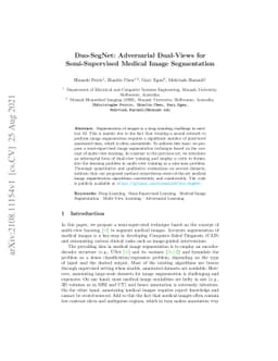 Duo-SegNet: Adversarial Dual-Views for Semi-Supervised Medical Image
  Segmentation