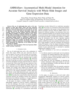 AMMASurv: Asymmetrical Multi-Modal Attention for Accurate Survival
  Analysis with Whole Slide Images and Gene Expression Data