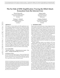 The Far Side of DNS Amplification: Tracing the DDoS Attack Ecosystem
  from the Internet Core
