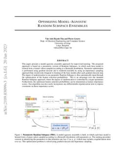 Optimizing model-agnostic Random Subspace ensembles
