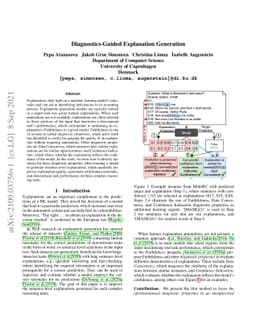 Diagnostics-Guided Explanation Generation