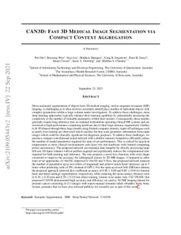 CAN3D: Fast 3D Medical Image Segmentation via Compact Context
  Aggregation