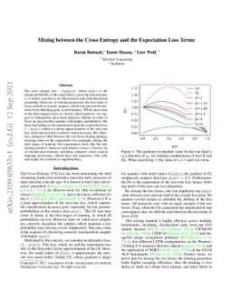 Mixing between the Cross Entropy and the Expectation Loss Terms