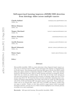 Self supervised learning improves dMMR/MSI detection from histology
  slides across multiple cancers