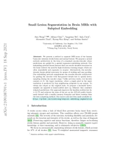 Small Lesion Segmentation in Brain MRIs with Subpixel Embedding