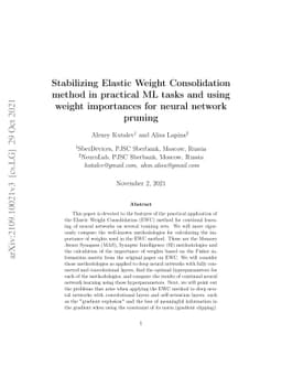 Stabilizing Elastic Weight Consolidation method in practical ML tasks
  and using weight importances for neural network pruning