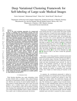 Deep Variational Clustering Framework for Self-labeling of Large-scale
  Medical Images