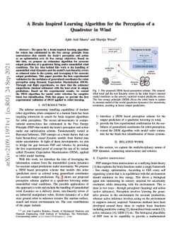 A Brain Inspired Learning Algorithm for the Perception of a Quadrotor in
  Wind
