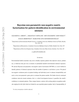 Bayesian non-parametric non-negative matrix factorization for pattern
  identification in environmental mixtures