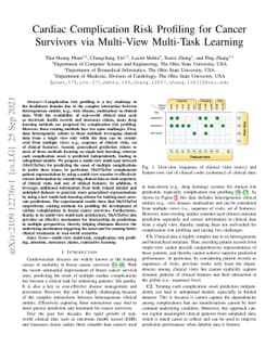 Cardiac Complication Risk Profiling for Cancer Survivors via Multi-View
  Multi-Task Learning
