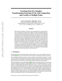 Learning from Few Samples: Transformation-Invariant SVMs with
  Composition and Locality at Multiple Scales