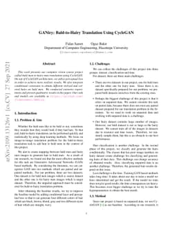 GANiry: Bald-to-Hairy Translation Using CycleGAN