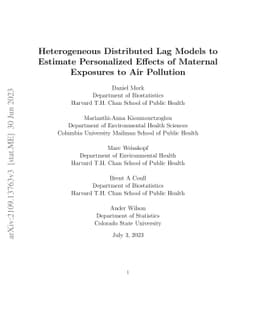 Heterogeneous Distributed Lag Models to Estimate Personalized Effects of
  Maternal Exposures to Air Pollution