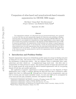Comparison of atlas-based and neural-network-based semantic segmentation
  for DENSE MRI images