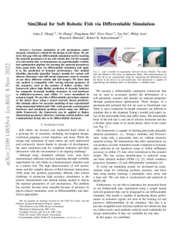 Sim2Real for Soft Robotic Fish via Differentiable Simulation