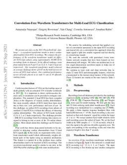 Convolution-Free Waveform Transformers for Multi-Lead ECG Classification