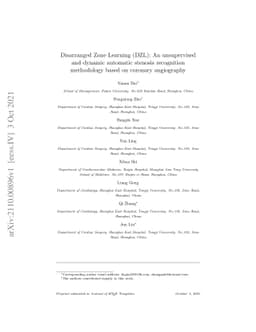 Disarranged Zone Learning (DZL): An unsupervised and dynamic automatic
  stenosis recognition methodology based on coronary angiography