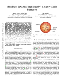 Blindness (Diabetic Retinopathy) Severity Scale Detection