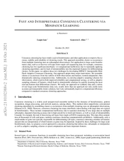 Fast and Interpretable Consensus Clustering via Minipatch Learning