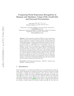 Comparing Facial Expression Recognition in Humans and Machines: Using
  CAM, GradCAM, and Extremal Perturbation