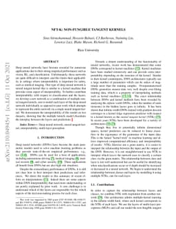 NFT-K: Non-Fungible Tangent Kernels