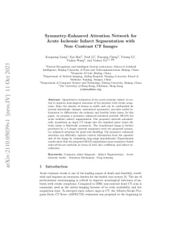Symmetry-Enhanced Attention Network for Acute Ischemic Infarct
  Segmentation with Non-Contrast CT Images