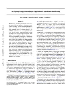 Intriguing Properties of Input-dependent Randomized Smoothing