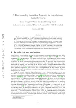 A Dimensionality Reduction Approach for Convolutional Neural Networks