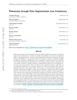 Robustness through Data Augmentation Loss Consistency