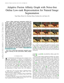 Adaptive Fusion Affinity Graph with Noise-free Online Low-rank
  Representation for Natural Image Segmentation