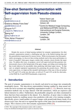 Few-shot Semantic Segmentation with Self-supervision from Pseudo-classes
