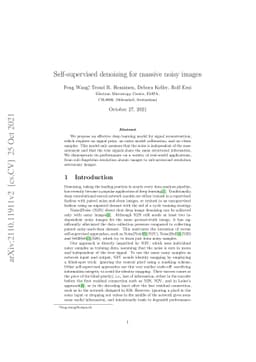 Self-supervised denoising for massive noisy images