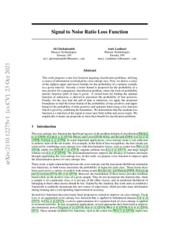 Signal to Noise Ratio Loss Function