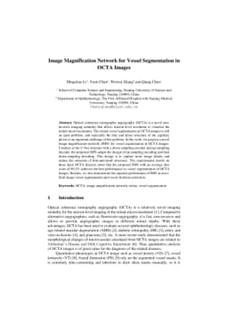 Image Magnification Network for Vessel Segmentation in OCTA Images