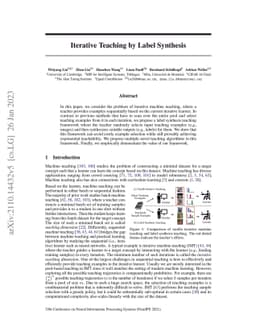 Iterative Teaching by Label Synthesis
