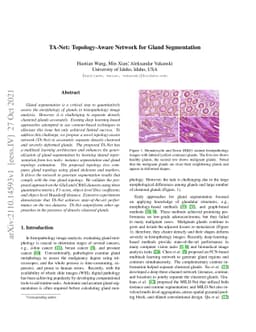TA-Net: Topology-Aware Network for Gland Segmentation