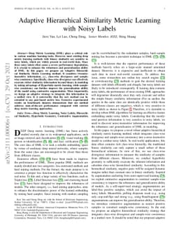 Adaptive Hierarchical Similarity Metric Learning with Noisy Labels